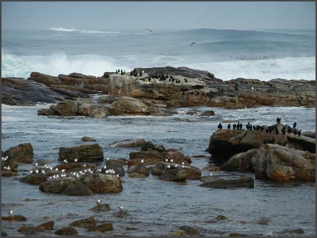 S&uuml;dafrika - Kap der guten Hoffnung