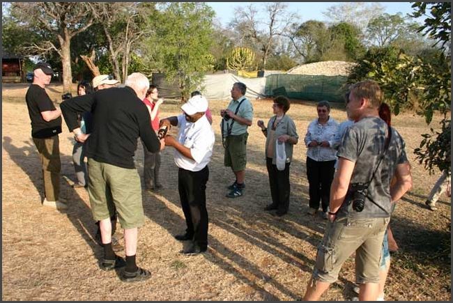 S&uuml;dafrika - Kr&uuml;ger Nationalpark