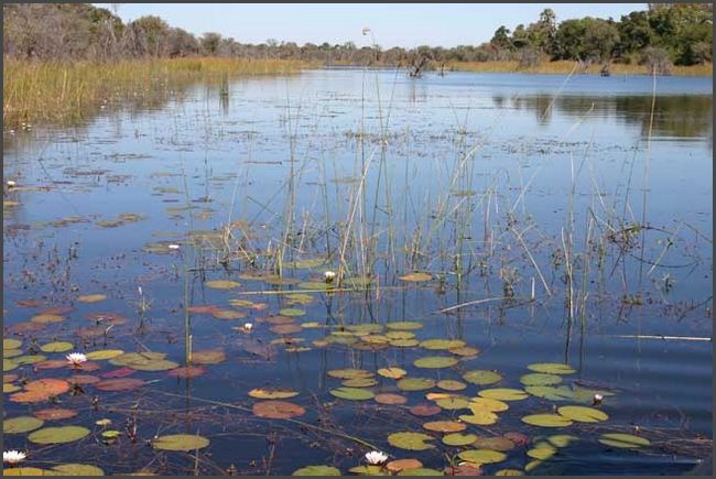 Botswana - Okawango Delta