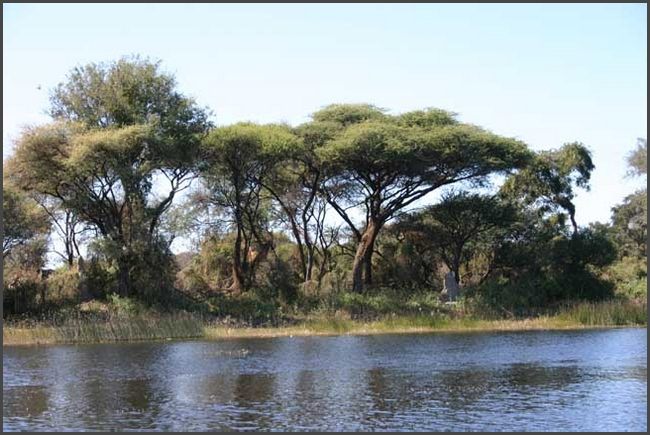Botswana - Okawango Delta