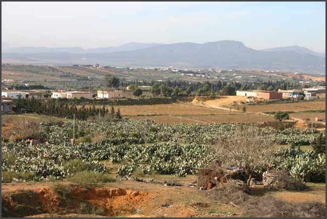 Tunesien 2010 - Hammamet